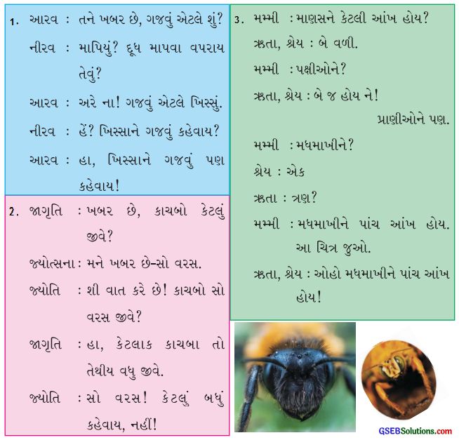 Class 4 Gujarati Textbook Solutions Chapter 1 ખિસ્સામાં પહેલવાન હા 7