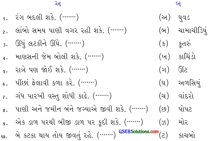 Class 4 Gujarati Textbook Solutions Chapter 4 સિંહ ઘૂઘવે, બકરો ભાગે 1