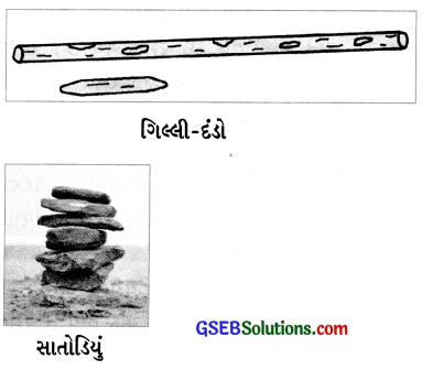 Class 4 Gujarati Textbook Solutions Chapter 8 ટામેટાની દડી, રમે દાદા-દાદી 2