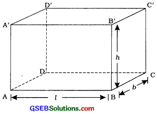 GSEB Class 10 Maths Notes Chapter 13 પૃષ્ઠફળ અને ઘનફળ 1
