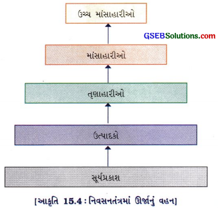 GSEB Class 10 Science Important Questions Chapter 15 આપણું પર્યાવરણ 10