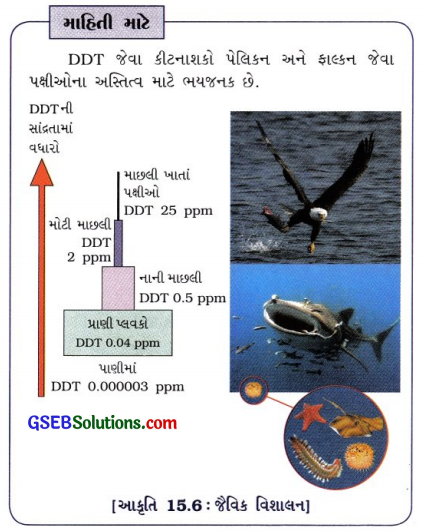 GSEB Class 10 Science Important Questions Chapter 15 આપણું પર્યાવરણ 12