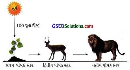 GSEB Class 10 Science Important Questions Chapter 15 આપણું પર્યાવરણ 16