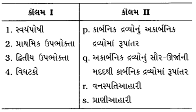 GSEB Class 10 Science Important Questions Chapter 15 આપણું પર્યાવરણ 23