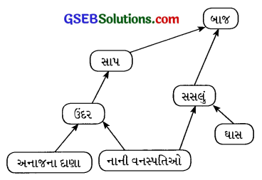 GSEB Class 10 Science Important Questions Chapter 15 આપણું પર્યાવરણ 27