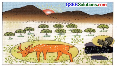 GSEB Class 10 Science Important Questions Chapter 15 આપણું પર્યાવરણ 34
