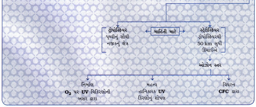 GSEB Class 10 Science Important Questions Chapter 15 આપણું પર્યાવરણ 36