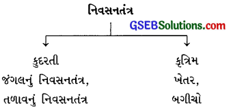 GSEB Class 10 Science Important Questions Chapter 15 આપણું પર્યાવરણ 37