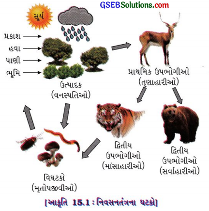 GSEB Class 10 Science Important Questions Chapter 15 આપણું પર્યાવરણ 6