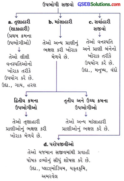 GSEB Class 10 Science Important Questions Chapter 15 આપણું પર્યાવરણ 7