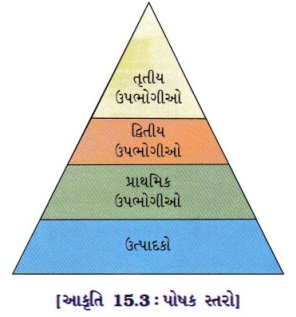 GSEB Class 10 Science Important Questions Chapter 15 આપણું પર્યાવરણ 9