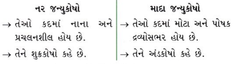GSEB Class 10 Science Important Questions Chapter 8 સજીવો કેવી રીતે પ્રજનન કરે છે 10