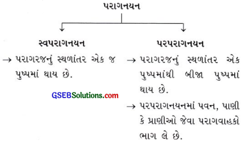 GSEB Class 10 Science Important Questions Chapter 8 સજીવો કેવી રીતે પ્રજનન કરે છે 11