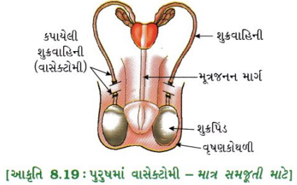 GSEB Class 10 Science Important Questions Chapter 8 સજીવો કેવી રીતે પ્રજનન કરે છે 18