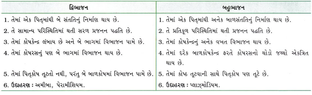GSEB Class 10 Science Important Questions Chapter 8 સજીવો કેવી રીતે પ્રજનન કરે છે 21