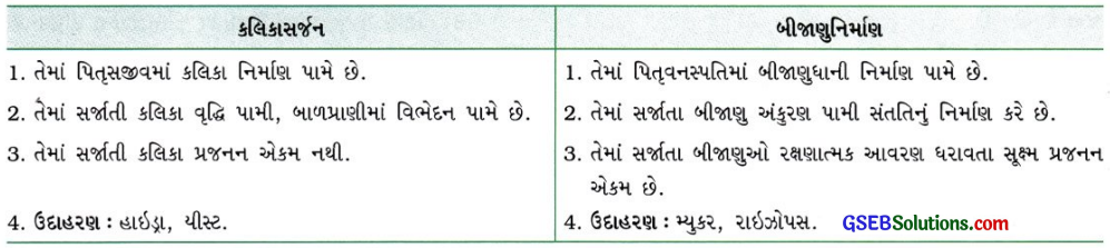 GSEB Class 10 Science Important Questions Chapter 8 સજીવો કેવી રીતે પ્રજનન કરે છે 22