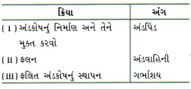 GSEB Class 10 Science Important Questions Chapter 8 સજીવો કેવી રીતે પ્રજનન કરે છે 27