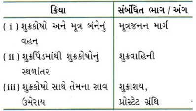 GSEB Class 10 Science Important Questions Chapter 8 સજીવો કેવી રીતે પ્રજનન કરે છે 29