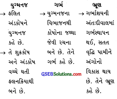 GSEB Class 10 Science Important Questions Chapter 8 સજીવો કેવી રીતે પ્રજનન કરે છે 31