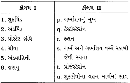 GSEB Class 10 Science Important Questions Chapter 8 સજીવો કેવી રીતે પ્રજનન કરે છે 33