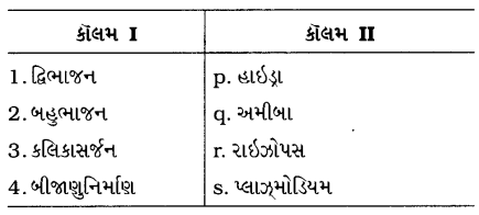 GSEB Class 10 Science Important Questions Chapter 8 સજીવો કેવી રીતે પ્રજનન કરે છે 34