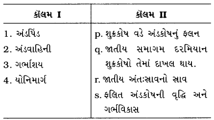 GSEB Class 10 Science Important Questions Chapter 8 સજીવો કેવી રીતે પ્રજનન કરે છે 35