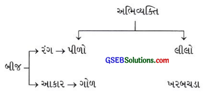 GSEB Class 10 Science Important Questions Chapter 9 આનુવંશિકતા અને ઉર્વિકાસ 5