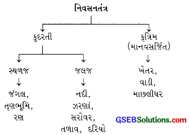 GSEB Class 10 Science Notes Chapter 15 આપણું પર્યાવરણ 1