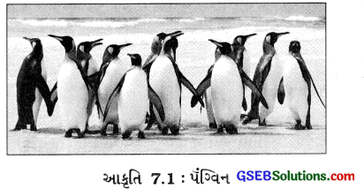 GSEB Class 7 Science Important Questions Chapter 7 હવામાન, આબોહવા અને આબોહવાની સાથે પ્રાણીઓનું અનુકૂલન 1