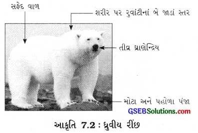 GSEB Class 7 Science Important Questions Chapter 7 હવામાન, આબોહવા અને આબોહવાની સાથે પ્રાણીઓનું અનુકૂલન 2