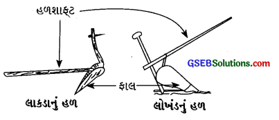 GSEB Class 8 Science Important Questions Chapter 1 પાક ઉત્પાદન અને વ્યવસ્થાપન 1