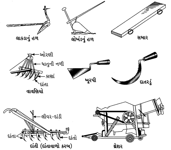 GSEB Class 8 Science Important Questions Chapter 1 પાક ઉત્પાદન અને વ્યવસ્થાપન 4
