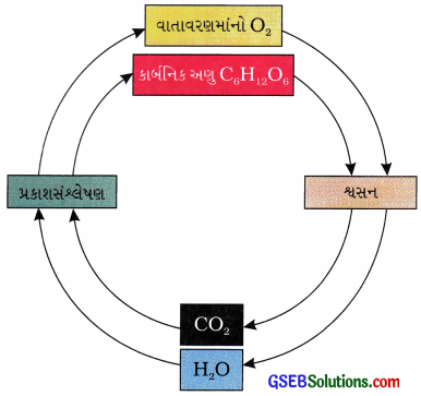 GSEB Class 9 Science Important Questions Chapter 14 નૈસર્ગિક સ્ત્રોતો ...