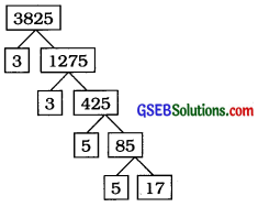 GSEB Solutions Class 10 Maths Chapter 1 વાસ્તવિક સંખ્યાઓ Ex 1.2 3