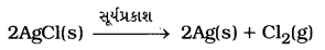 GSEB Solutions Class 10 Science Chapter 1 રાસાયણિક પ્રક્રિયાઓ અને સમીકરણો 4