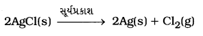 GSEB Solutions Class 10 Science Chapter 1 રાસાયણિક પ્રક્રિયાઓ અને સમીકરણો 5