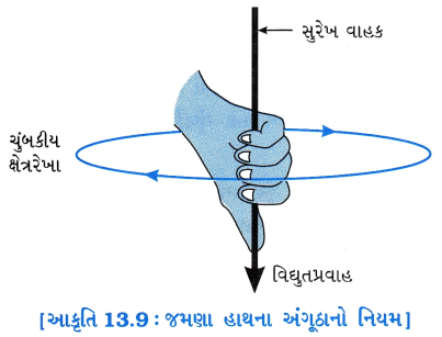 GSEB Solutions Class 10 Science Chapter 13 વિદ્યુતપ્રવાહની ચુંબકીય અસરો 3