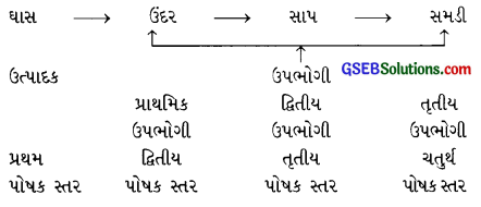GSEB Solutions Class 10 Science Chapter 15 આપણું પર્યાવરણ 1