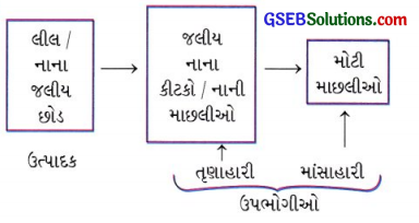 GSEB Solutions Class 10 Science Chapter 15 આપણું પર્યાવરણ 5