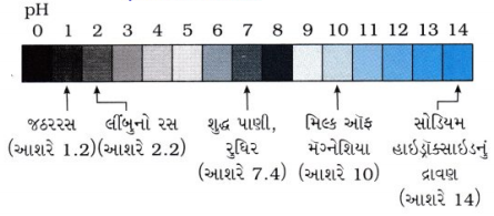 GSEB Solutions Class 10 Science Chapter 2 ઍસિડ, બેઇઝ અને ક્ષાર 12