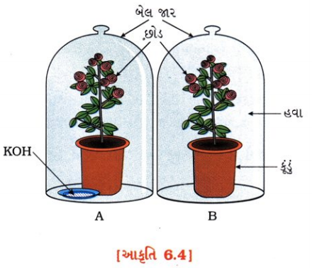 GSEB Solutions Class 10 Science Chapter 6 જૈવિક ક્રિયાઓ 3