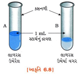 GSEB Solutions Class 10 Science Chapter 6 જૈવિક ક્રિયાઓ 4