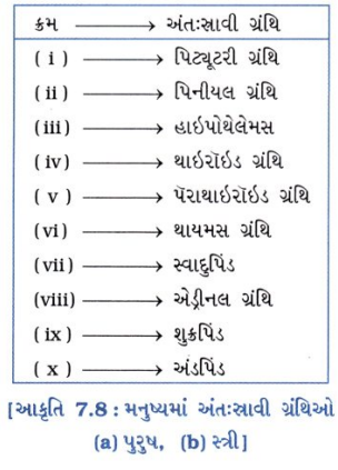 GSEB Solutions Class 10 Science Chapter 7 નિયંત્રણ અને સંકલન 11