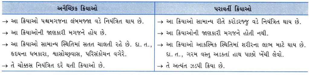 GSEB Solutions Class 10 Science Chapter 7 નિયંત્રણ અને સંકલન 13