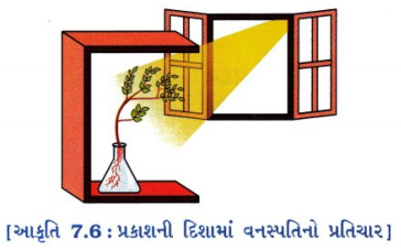 GSEB Solutions Class 10 Science Chapter 7 નિયંત્રણ અને સંકલન 2