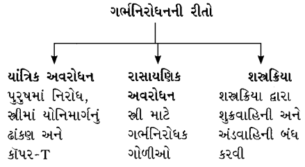 GSEB Solutions Class 10 Science Chapter 8 સજીવો કેવી રીતે પ્રજનન કરે છે 2
