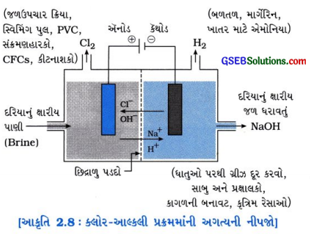 GSEB Solutions Class 10 Science Important Questions Chapter 2 ઍસિડ, બેઇઝ અને ક્ષાર 9