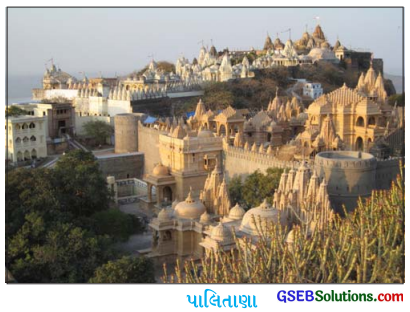 GSEB Solutions Class 10 Social Science Chapter 3 ભારતનો સાંસ્કૃતિક વારસો શિલ્પ અને સ્થાપત્ય 17