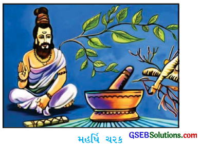 GSEB Solutions Class 10 Social Science Chapter 5 ભારતનો વિજ્ઞાન અને ટેક્નોલૉજીનો વારસો 3