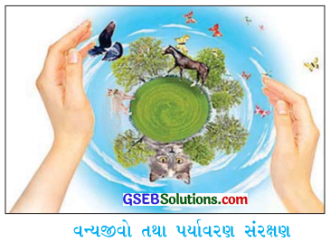 GSEB Class 10 Social Science Important Questions Chapter 7 આપણા વારસાનું જતન 1